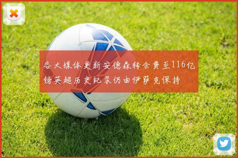 各大媒体更新安德森转会费至116亿镑英超历史纪录仍由伊萨克保持