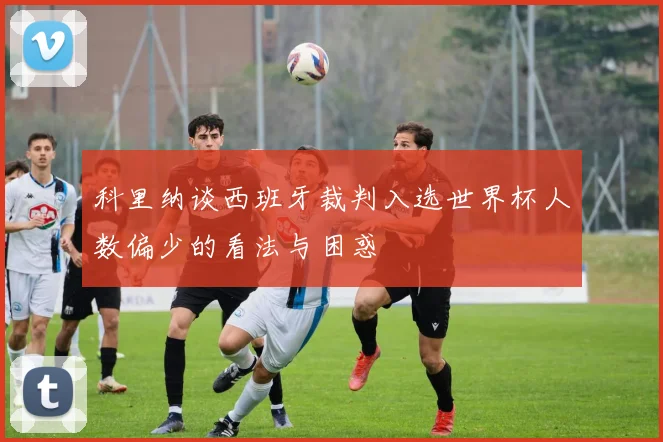科里纳谈西班牙裁判入选世界杯人数偏少的看法与困惑