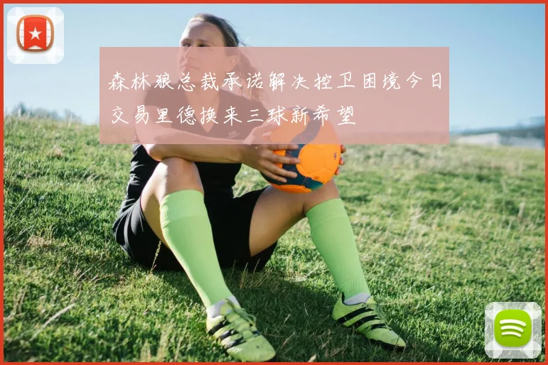 森林狼总裁承诺解决控卫困境今日交易里德换来三球新希望